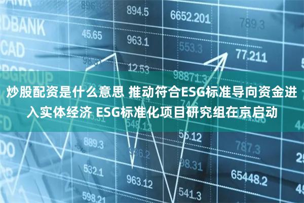 炒股配资是什么意思 推动符合ESG标准导向资金进入实体经济 ESG标准化项目研究组在京启动