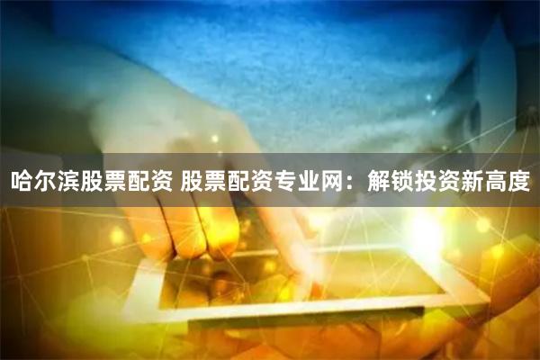 哈尔滨股票配资 股票配资专业网：解锁投资新高度