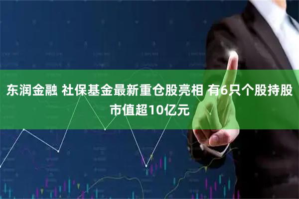 东润金融 社保基金最新重仓股亮相 有6只个股持股市值超10亿元